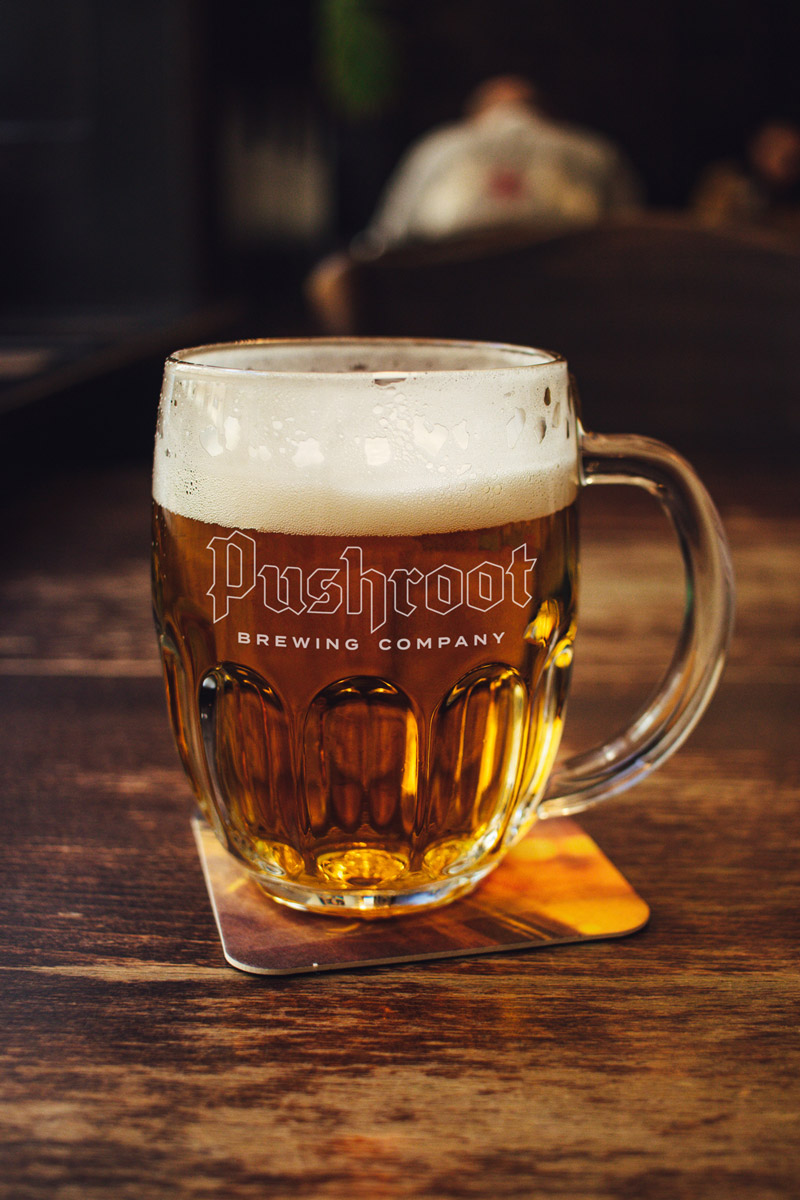 Pushroot-Beer-Mug
