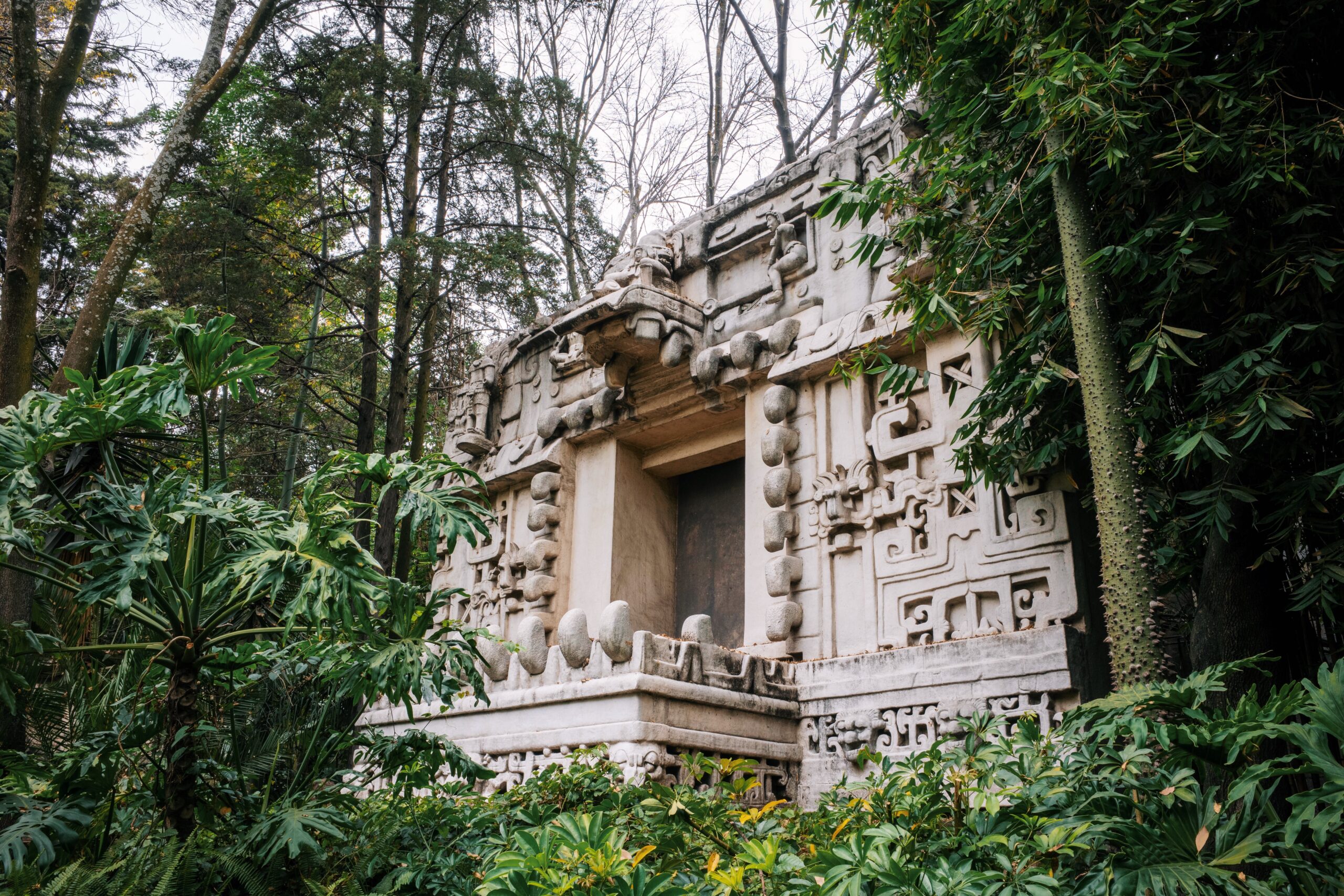 Processed with VSCO with g6pro preset